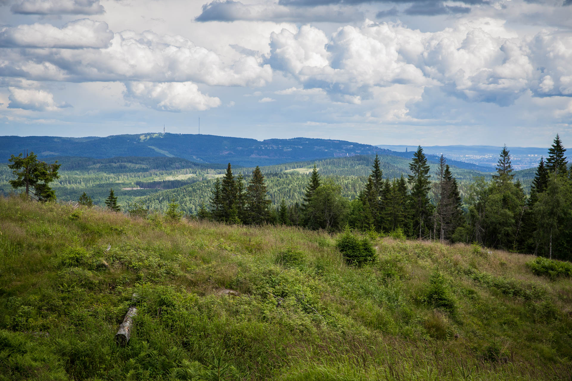 Vidvangshøgda