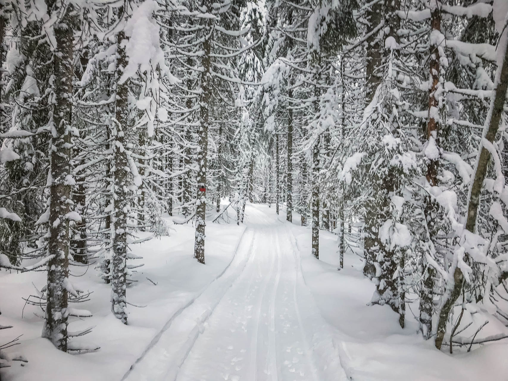 Nordmarka på langs (på ski)