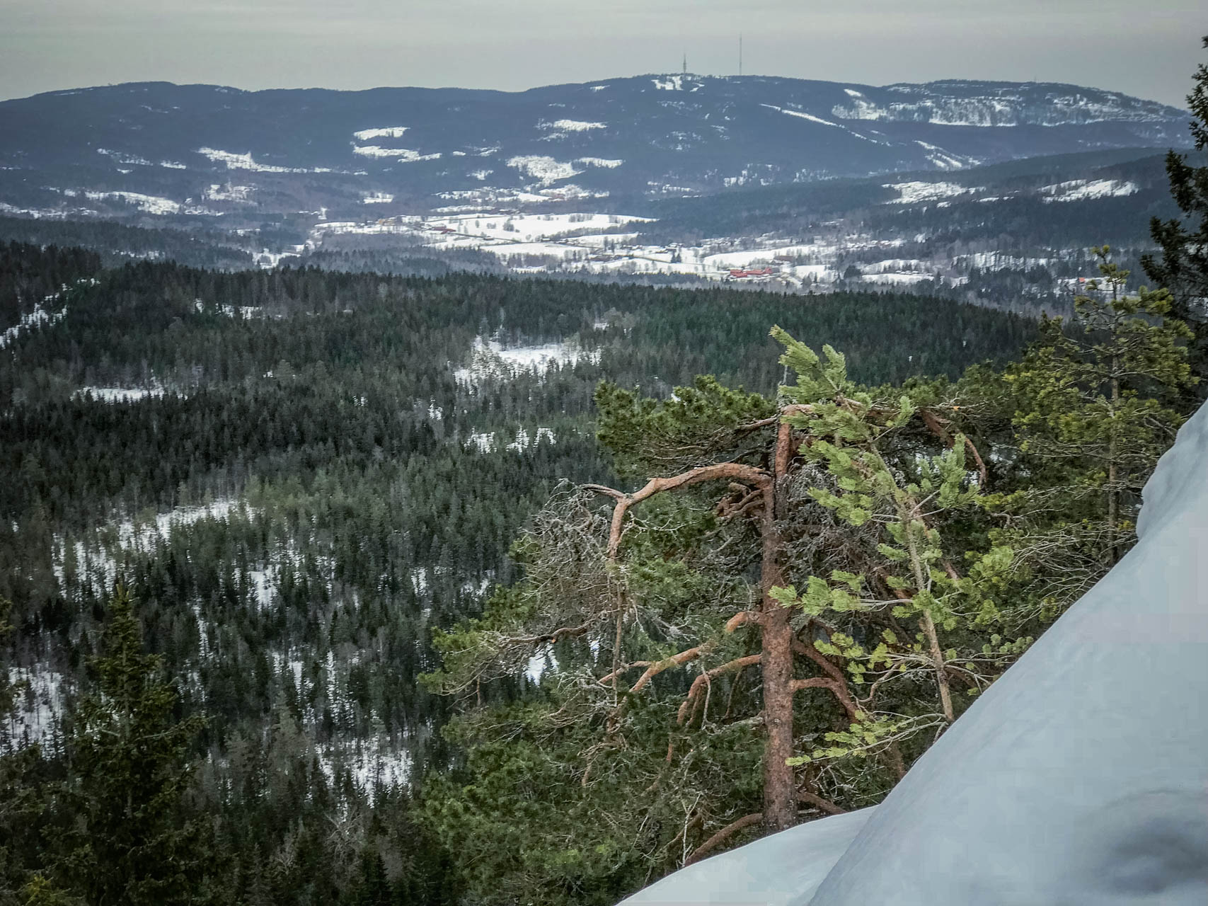 Vårskitur på Krokskogen