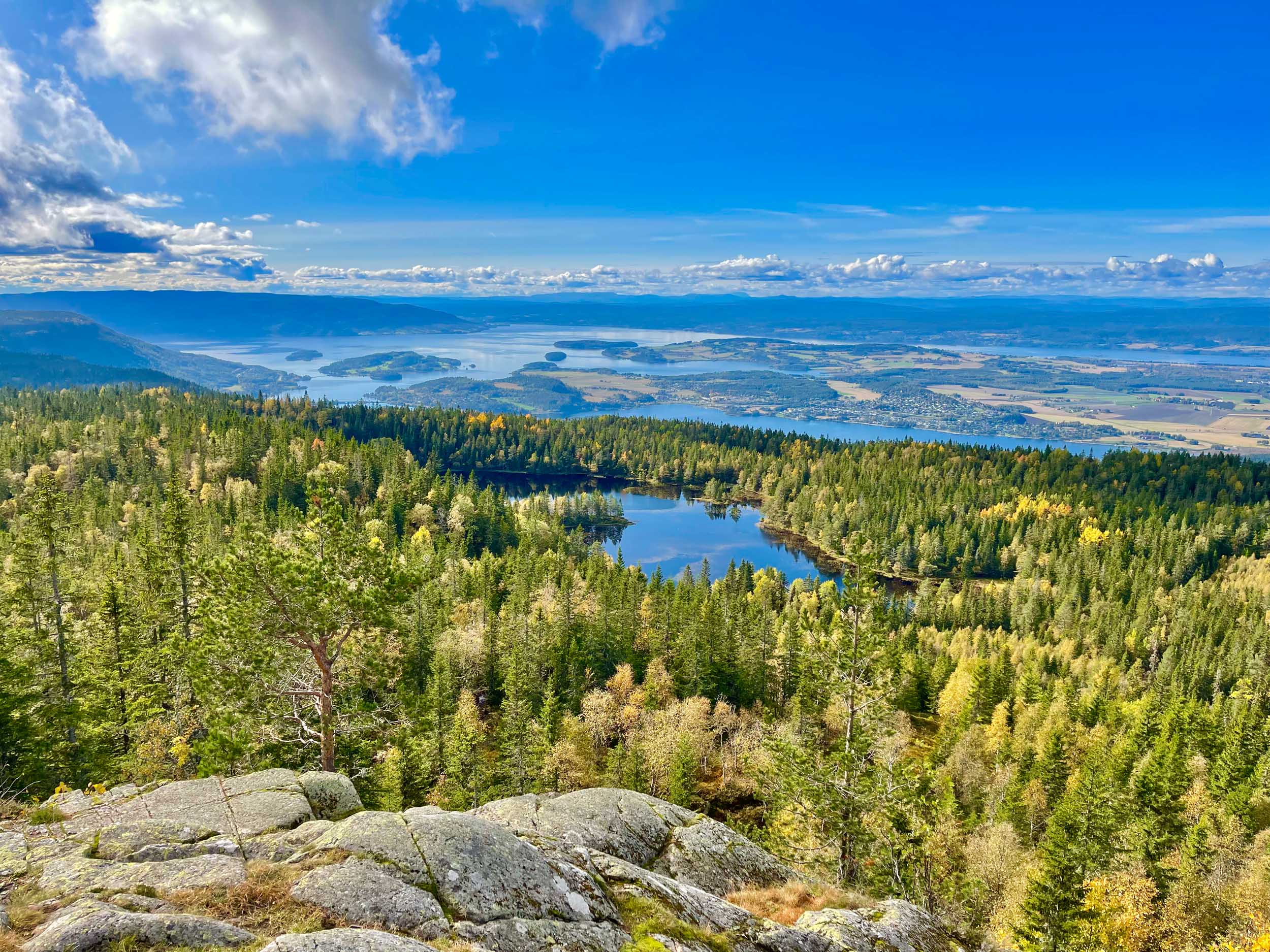 En sommernatt på Krokskogen 2023